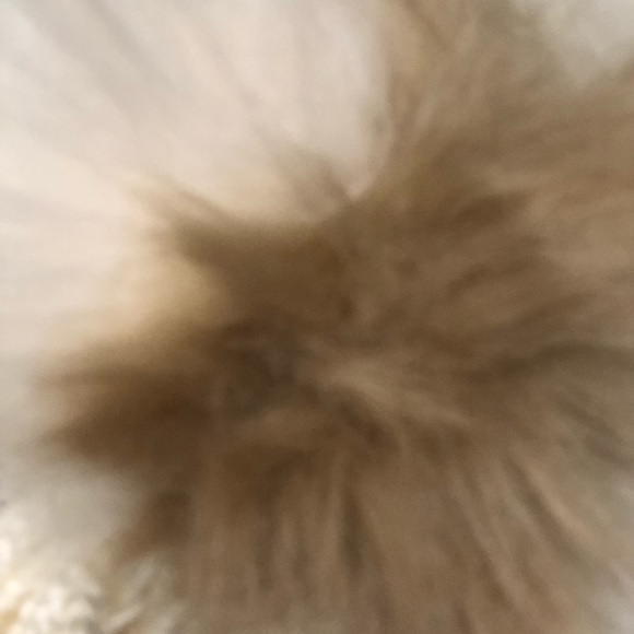 BCBG White Pom Pom Knit Beanie | NEW - Picture 3 of 4